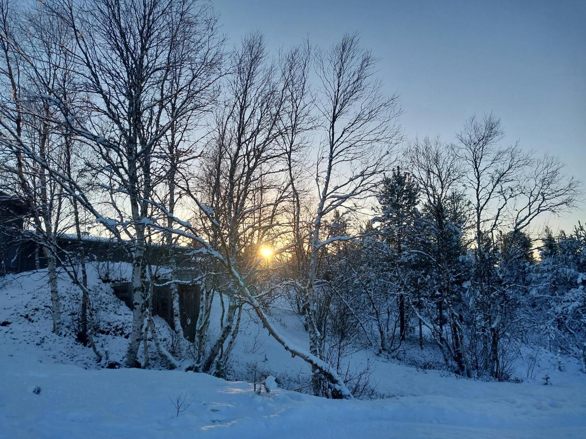 Muotkan Ruoktu Tunturikyla Inari Exterior foto