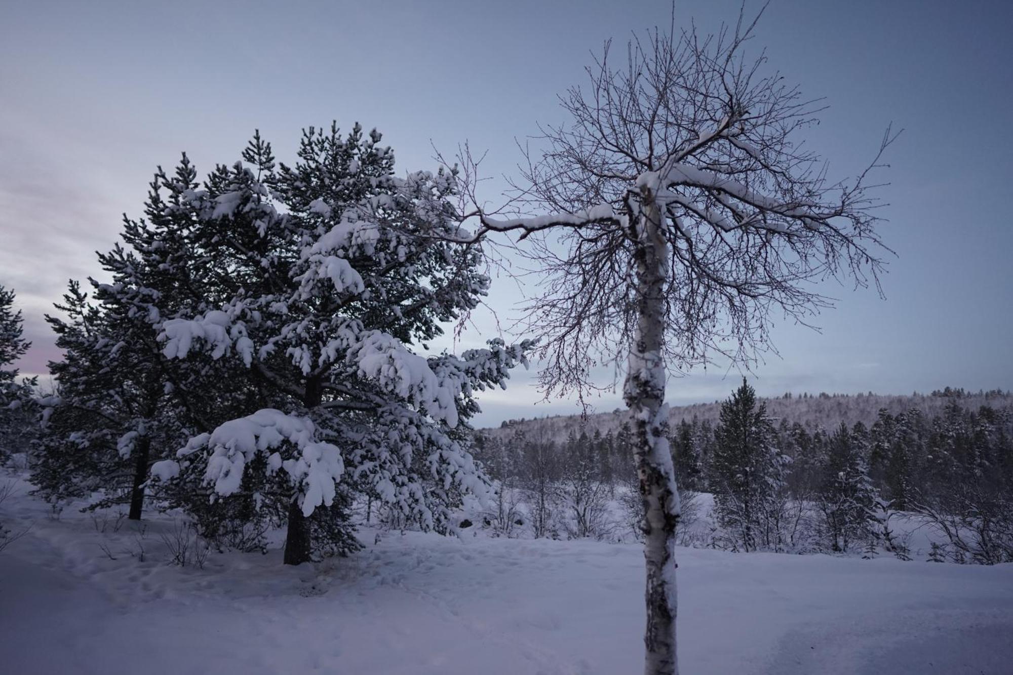 Muotkan Ruoktu Tunturikyla Inari Exterior foto